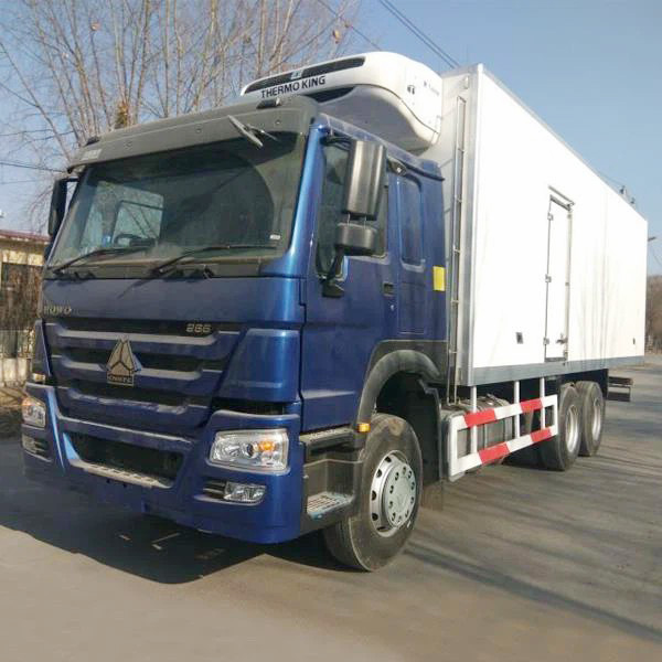 China SINOTRUK HOWO 6X4 Cheap 336HP 10 Wheeler Refrigerated Van Truck